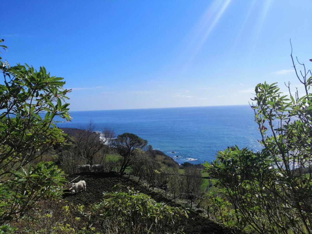 A Casa Do Ti Mendonca Villa Lajes das Flores Екстериор снимка
